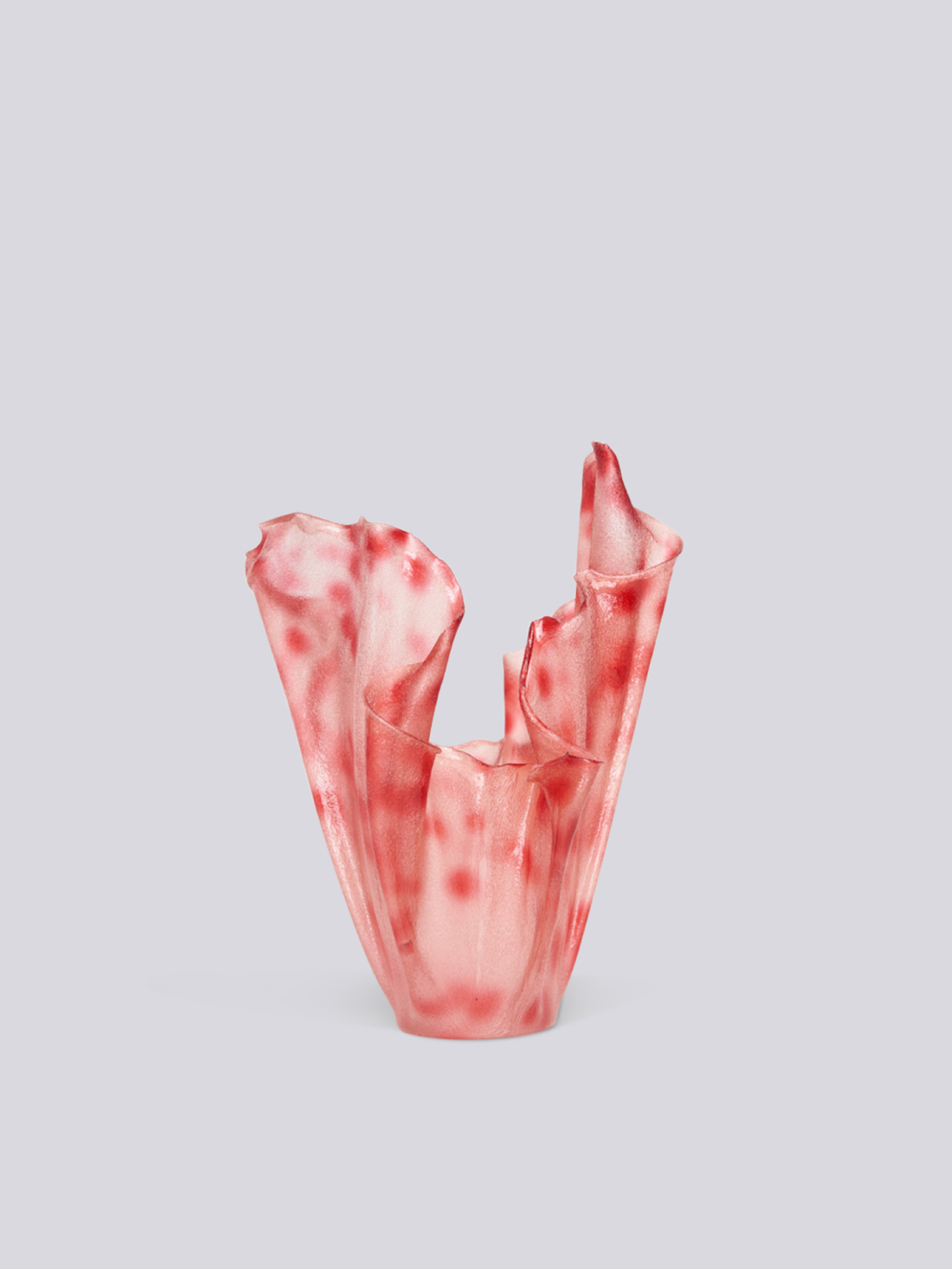 RESIZE MARGARITA TALEP_MARGARITA TALEP MANCHAS S 2